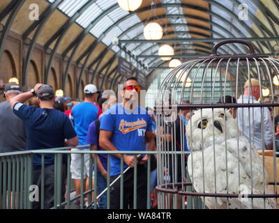 Die Zauberwelt von Harry Potter in den Universal Studios Florida, USA, 20. Mai 2019, © katharine Andriotis Stockfoto