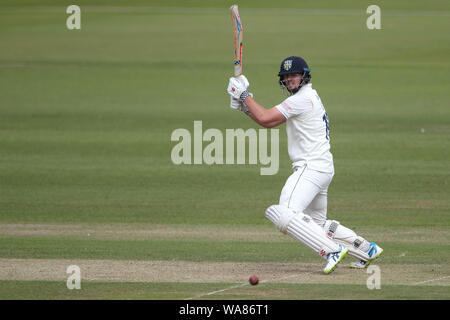 CHESTER LE STREET, ENGLAND AUG 18 Alex Lees von Durham batting während der specsavers County Championship Match zwischen Durham County Cricket Club und Leicestershire County Cricket Club Emirates Riverside, Chester Le Street am Sonntag, den 18. August 2019. (Credit: Mark Fletcher | MI Nachrichten) Credit: MI Nachrichten & Sport/Alamy leben Nachrichten Stockfoto