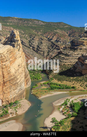 Sparren am Zusammenfluss von Green und yampa Flüsse unter Steamboat Rock im Dinosaur National Monument, Colorado Stockfoto