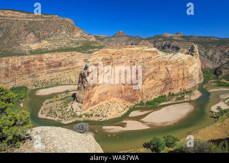 Sparren am Zusammenfluss von Green und yampa Flüsse unter Steamboat Rock im Dinosaur National Monument, Colorado Stockfoto