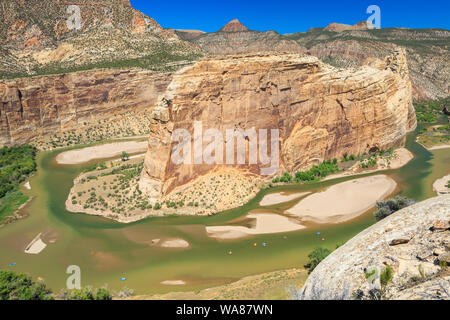 Sparren am Zusammenfluss von Green und yampa Flüsse unter Steamboat Rock im Dinosaur National Monument, Colorado Stockfoto