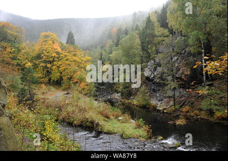 Misty Herbst Landschaft im Oderteich, Okertal. Herbst im Harz Oderteich, Talsperre im Oberharz. Stockfoto