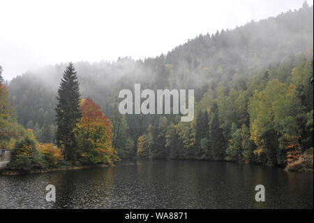 Misty Herbst Landschaft im Oderteich, Okertal. Herbst im Harz Oderteich, Talsperre im Oberharz. Stockfoto