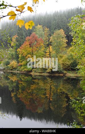 Misty Herbst Landschaft im Oderteich, Okertal. Herbst im Harz Oderteich, Talsperre im Oberharz. Stockfoto