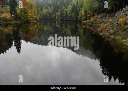 Misty Herbst Landschaft im Oderteich, Okertal. Herbst im Harz Oderteich, Talsperre im Oberharz. Stockfoto