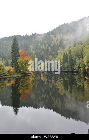 Misty Herbst Landschaft im Oderteich, Okertal. Herbst im Harz Oderteich, Talsperre im Oberharz. Stockfoto