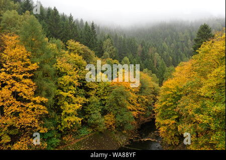 Misty Herbst Landschaft im Oderteich, Okertal. Herbst im Harz Oderteich, Talsperre im Oberharz. Stockfoto