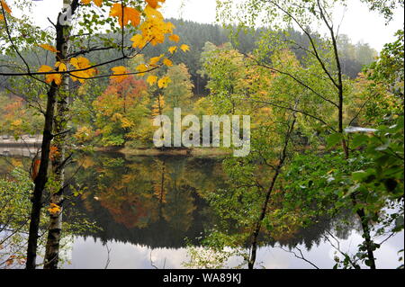 Misty Herbst Landschaft im Oderteich, Okertal. Herbst im Harz Oderteich, Talsperre im Oberharz. Stockfoto