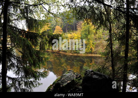 Misty Herbst Landschaft im Oderteich, Okertal. Herbst im Harz Oderteich, Talsperre im Oberharz. Stockfoto