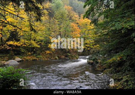 Misty Herbst Landschaft im Oderteich, Okertal. Herbst im Harz Oderteich, Talsperre im Oberharz. Stockfoto