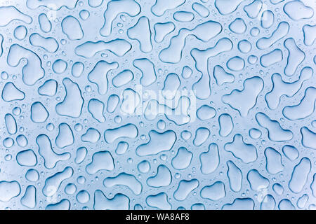Wassertropfen auf Glas Stockfoto