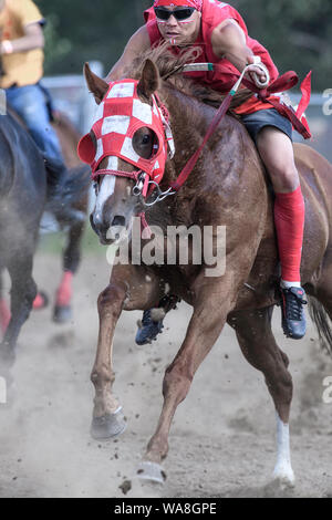 Die Enoch Cree Nation indischen Relais (Pferd) Rennen. Alberta, Kanada Stockfoto