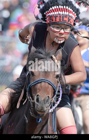 Little Braves Veranstaltung im Enoch Cree Nation indischen Relais (Pferd) Rennen. Alberta, Kanada Stockfoto