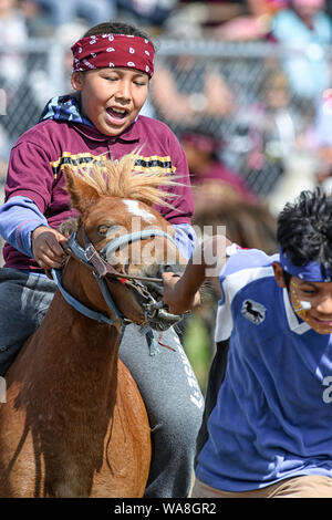 Little Braves Veranstaltung im Enoch Cree Nation indischen Relais (Pferd) Rennen. Alberta, Kanada Stockfoto