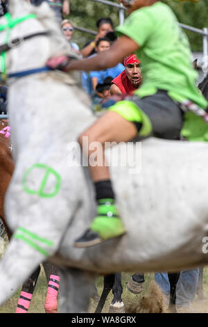 Die Enoch Cree Nation indischen Relais (Pferd) Rennen. Alberta, Kanada Stockfoto