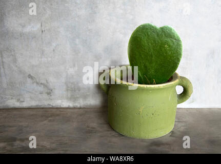 Cactus Herz Form im Topf Stockfoto