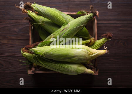 Junge Ohren von Mais, Maiskörner, Maiskörner, frische junge, cob, Wachsen, frisch gepflückt, Reif, Körner, Körner, cob Stockfoto