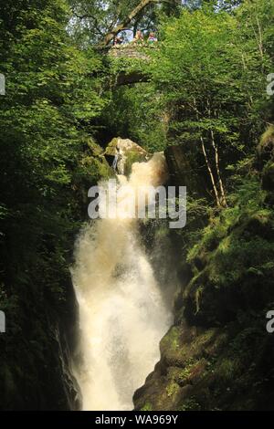 Aira tritt Wasserfall, Watermillock, in der Nähe von Ullswater im englischen Lake District, Cumbria GROSSBRITANNIEN. Stockfoto