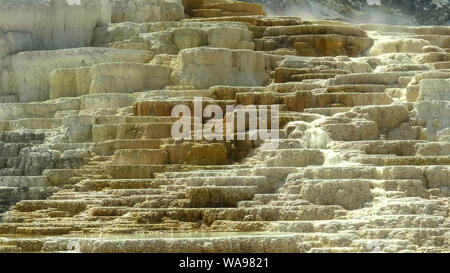 Mammoth Hot Springs, Yellowstone National Park, USA Stockfoto