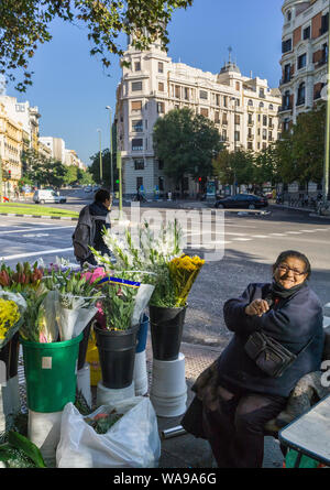 Eine Blume, die Verkäufer auf der Ecke von Alonso Martinez und der Calle de Genova, Madrid, Spanien Stockfoto