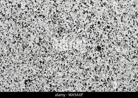 Schwarz und Weiß Granit Oberfläche, Stein motley Wand. Marmor Quarz Textur. Abstrakte Buntglasfenster grunge Hintergrund, Muster. Grau mineral pocked Platte. Stockfoto