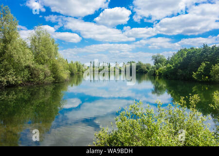 Cloud und Baum Reflexionen über Bodenham See, Herefordshire UK. Juli 2019 Stockfoto