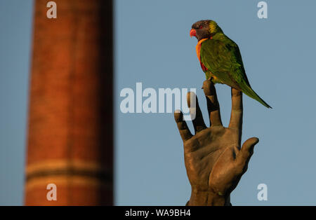 Ein Vogel auf der Hand. Eine australische Native Bird Die lorikeet an den Fingern einer Statue in Melbourne Australien sitzt gehockt. Stockfoto
