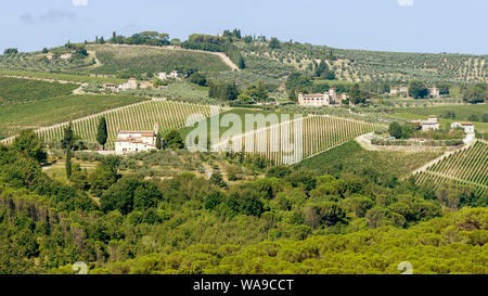 Typische Landschaft des Chianti Classico in der Gemeinde von Greve im Chianti, Toskana, Italien Stockfoto