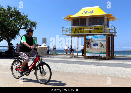 Mann mit Helm reiten ein Fahrrad mit Hund im Korb Gold Coast, Queensland, Australien Stockfoto