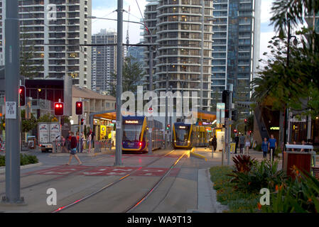 Light Rail Network am Surfers Paradise Boulevard Gold Coast, Queensland, Australien Stockfoto