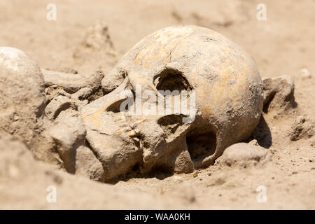 Eine frühe Jungsteinzeit Skelett Beleived von mehr als 7 600 Jahre werden in der Slatina Bezirk Sofia, Bulgarien gefunden wird. Stockfoto
