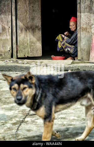 Sapa, Vietnam - 24. August: Red Dao ethnische Frau in ihrem Haus am 24. August 2018 in Sapa, Vietnam. Stockfoto