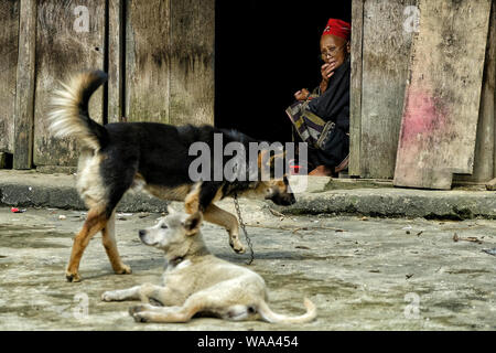 Sapa, Vietnam - 24. August: Red Dao ethnische Frau in ihrem Haus am 24. August 2018 in Sapa, Vietnam. Stockfoto