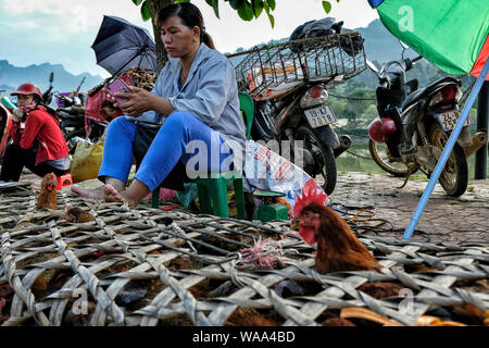 Bac Ha, Vietnam - 26. August: Nicht identifizierte Personen kaufen und verkaufen Hühner in Markt am Sonntag am 26. August 2018 in Bac Ha, Vietnam. Stockfoto