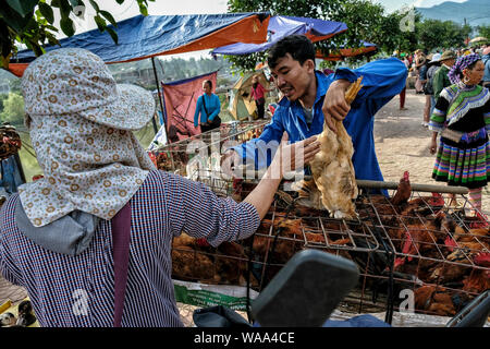 Bac Ha, Vietnam - 26. August: Nicht identifizierte Personen kaufen und verkaufen Hühner in Markt am Sonntag am 26. August 2018 in Bac Ha, Vietnam. Stockfoto