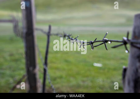 Stacheldraht zaun mit Regentropfen auf einem verschwommenen Hintergrund. Kirgisistan Stockfoto