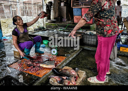 Bac Ha, Vietnam - 26. August 2018: Unbekannter Menschen kaufen und verkaufen Fische am Markt am Sonntag am 26. August 2018 in Bac Ha, Vietnam. Stockfoto