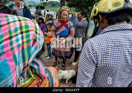 Bac Ha, Vietnam - 26. August 2018: Nicht identifizierte Personen Kauf und Verkauf von Hunden am Sonntag Markt am 26. August 2018 in Bac Ha, Vietnam. Stockfoto