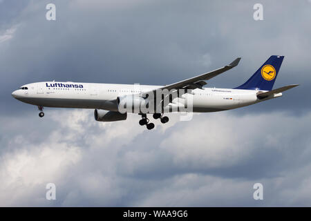 FRANKFURT/Deutschland - 12. AUGUST 2014: Lufthansa Airbus A330-300 D-AIKD Passagierflugzeug landen am Flughafen Frankfurt Stockfoto