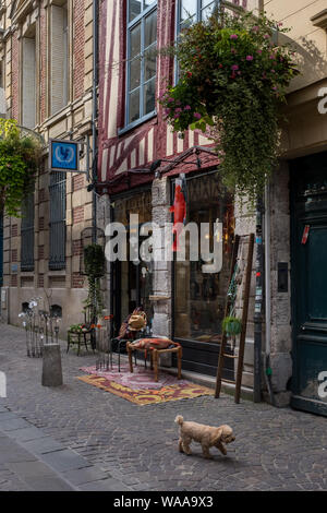 Ein Toy Pudel übergibt einen bunten Laden namens Karma unter einem Fachwerkhaus die verkauft vielseitige Dekorationen auf der Rue Saint-Nicolas in Rouen Stockfoto