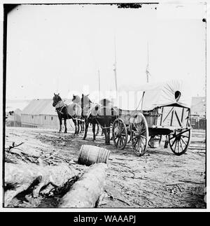 City Point, Virginia (Umgebung). Vier-Mule Militärmannschaft und Wagen Stockfoto