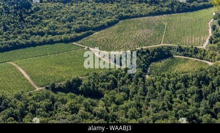 Schöner Blick auf die Landschaft der Toskana im Chianti Gebiet ist berühmt für seine Weine, Toskana, Italien Stockfoto