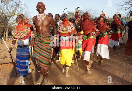 Samburu Tänzer an einer Hochzeit in einem Dorf in der Nähe von Archers Post, Kenia. Stockfoto