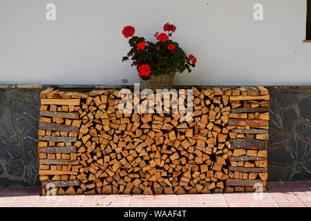 Stapel von Kaminholz in einem Schuppen Vorderansicht mit einem vergossenen Geranium Stockfoto