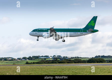 Cork Airport, Cork, Irland. 19 August, 2019. Eine Aer Lingus Airbus A320-Flugzeuge über Land nach seiner kurzen Flug von Amsterdam in Cork Airpo Stockfoto