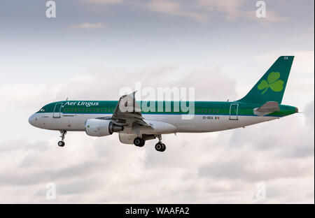 Cork Airport, Cork, Irland. 19 August, 2019. Eine Aer Lingus Airbus A320-Flugzeuge über Land nach seiner kurzen Flug von Amsterdam in Cork Airpo Stockfoto