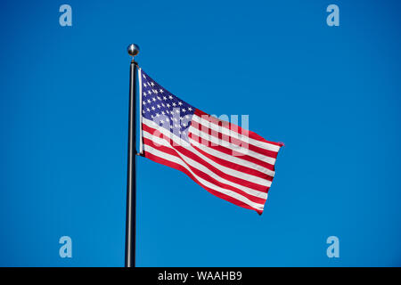 Star Spangled Banner, Flagge der USA in den Wind, Nordamerika Stockfoto