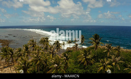 Palmen auf das Meer und die Wellen gegen das Ufer gegen den Himmel und Wolken. Siargao, Philippinen. Stockfoto