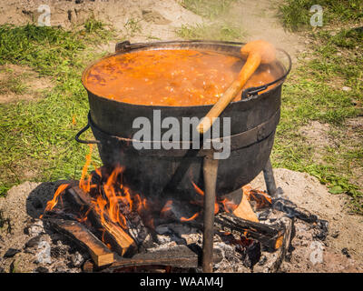 Gulyas Eintopf Kochen in einen Kessel mit Holz Feuer Stockfoto