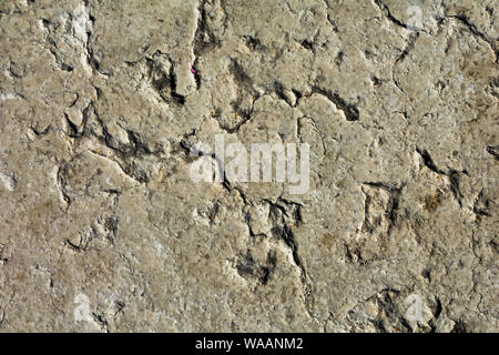 Poliert, Sandstein, Stein Textur Hintergrund Stockfoto